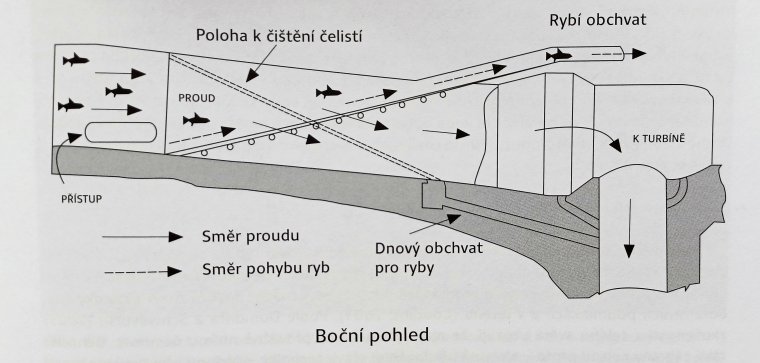 Rolovaci_cesle.jpg