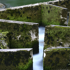 Migrace ryb a rybí přechody